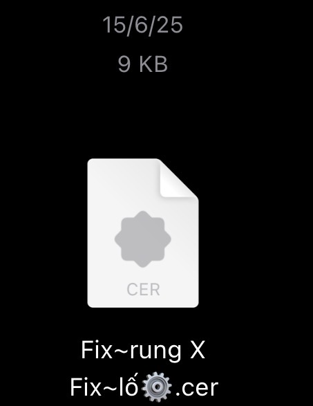 Fix Rung-Fix Lố minhchau