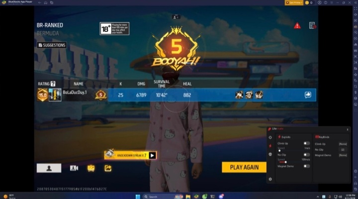 Panel Free Fire