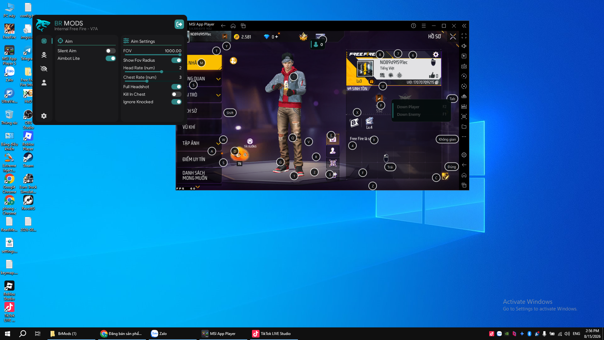 BR MODS PC
